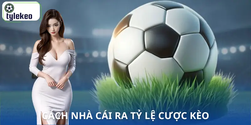 cach-ra-keo-cua-nha-cai-quy-trinh