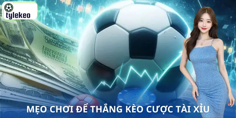 keo-tai-xiu-meo-choi